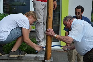 Maibaum 2017 (54)