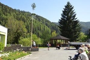 Maibaum 2018 (5)