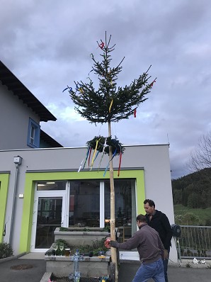 Maibaum 2019 (7)