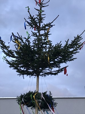 Maibaum 2019 (10)