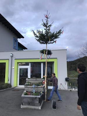 Maibaum 2019 (8)