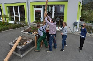 Maibaum (6)