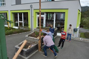 Maibaum (10)