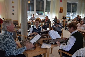 zither (3)