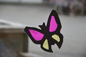 Schmetterling (5)