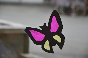 Schmetterling (5)
